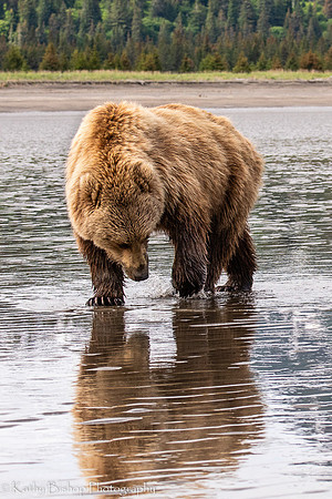 210619Alaska1436