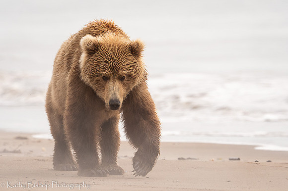 210619Alaska64