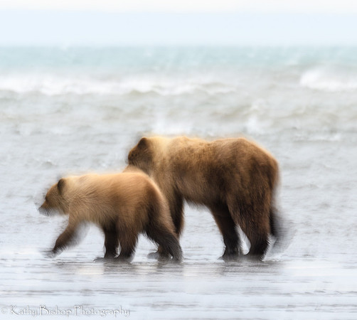 210623Alaska1043