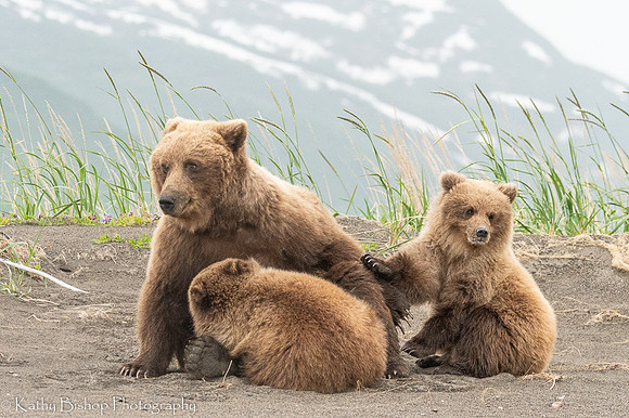 210623Alaska1559