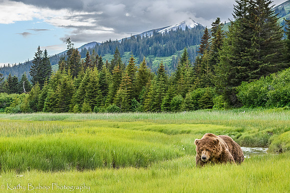 210621Alaska971and970-Edit