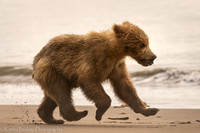 210619Alaska742