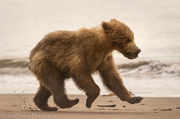 210619Alaska742