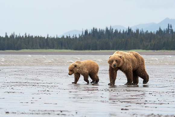 210623Alaska457