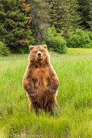 210620Alaska 299