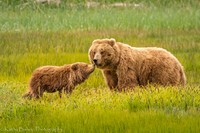 210619Alaska488