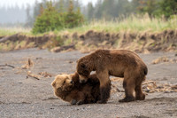 210620Alaska421