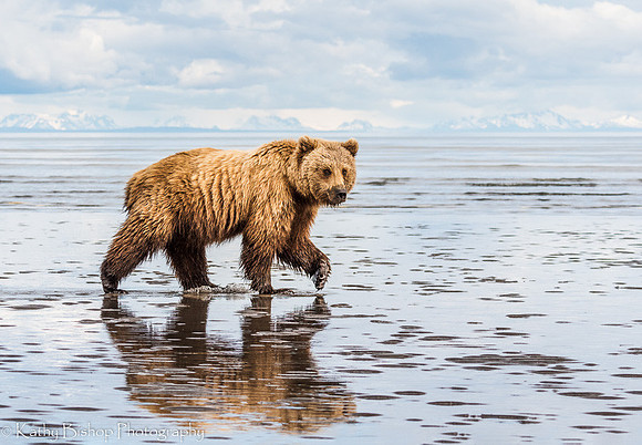 210619Alaska1130-Edit