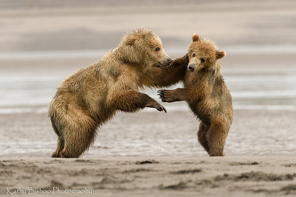 210621Alaska 934-Edit-denoise