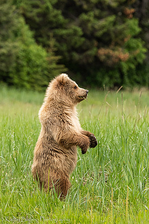 210620Alaska 369