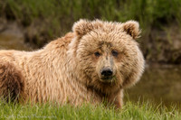 210619Alaska999