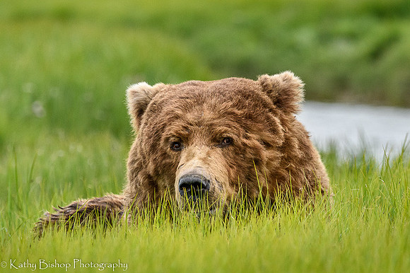 210621Alaska1154