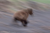 210621Alaska 840