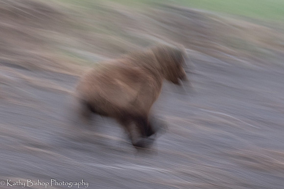 210621Alaska 840