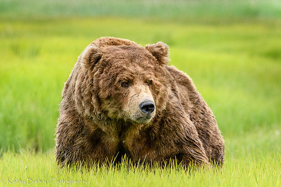 210621Alaska1222