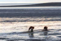 210621Alaska 846