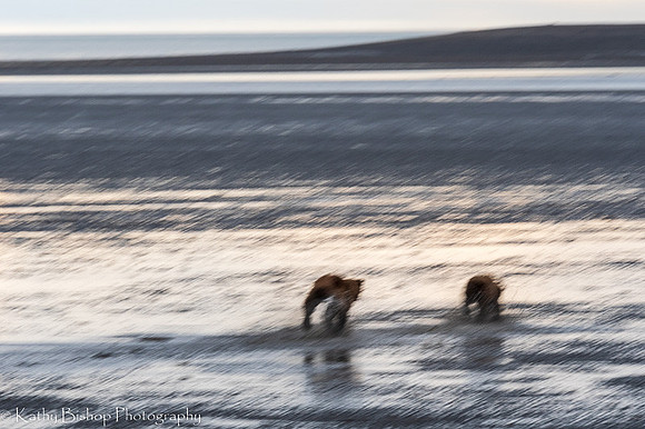 210621Alaska 846