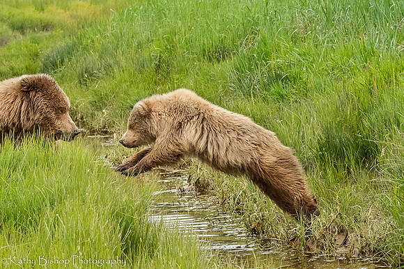 210620Alaska 390