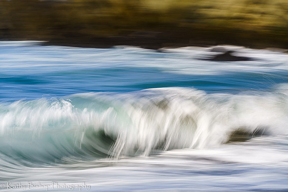 210411SeaRanch-581