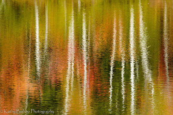 151005Adirondacks187