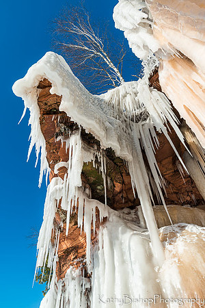 The Birch on Top