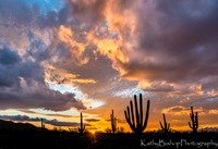 Tucson